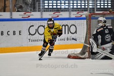 ref. photo 3080169