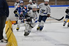 ref. photo 3080302
