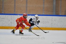 ref. photo 3080313