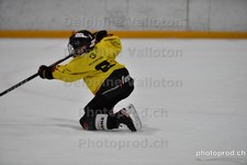 ref. photo 3080450