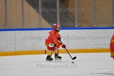 ref. photo 3080759