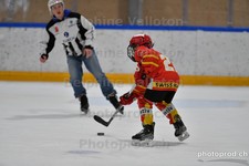 ref. photo 3080884