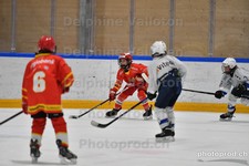 ref. photo 3080904