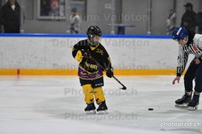 ref. photo 3081105