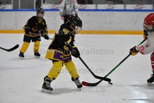 ref. photo 3081120