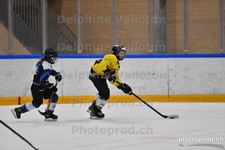 ref. photo 3081198
