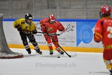 ref. photo 3081241