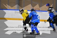 ref. photo 3983958