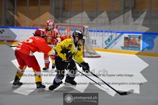 ref. photo 3984005