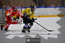 ref. photo 3984007