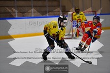 ref. photo 3984010