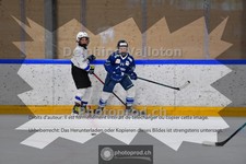 ref. photo 3984012