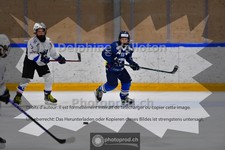 ref. photo 3984015