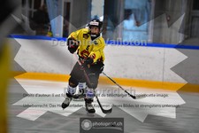 ref. photo 3984093