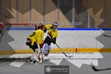 ref. photo 3984095