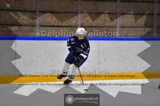ref. photo 3984210