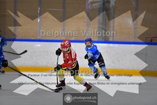 ref. photo 3984221
