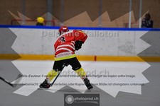 ref. photo 3984238
