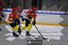 ref. photo 3984400