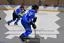ref. photo 3984786