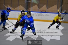 ref. photo 3984793