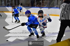 ref. photo 3984826