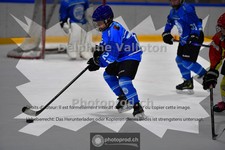 ref. photo 3984833