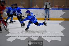 ref. photo 3984852