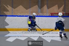 ref. photo 3984902
