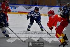 ref. photo 3984915