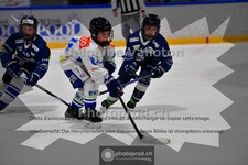 ref. photo 3984926
