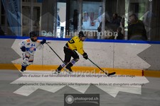 ref. photo 3984942