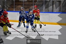 ref. photo 3985019
