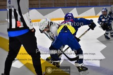 ref. photo 3985031