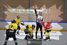 ref. photo 3985098