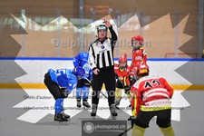 ref. photo 3985103