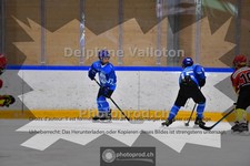 ref. photo 3985151