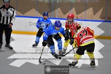 ref. photo 3985155