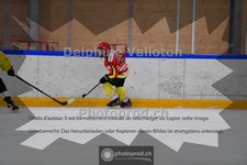 ref. photo 3985214