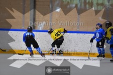 ref. photo 3985557