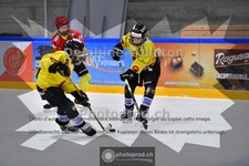 ref. photo 3985748