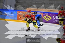 ref. photo 3985917