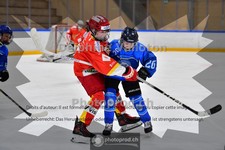 ref. photo 3985924