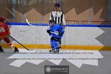 ref. photo 3985925