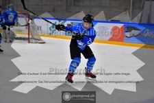 ref. photo 3985947