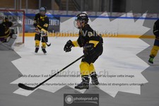 ref. photo 3986107