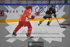 ref. photo 3986200