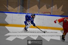 ref. photo 3986511
