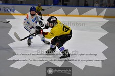 ref. photo 3986557