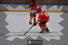 ref. photo 3986610